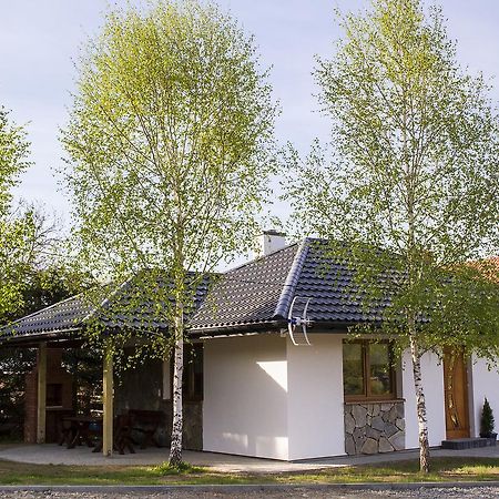 "Miedzy Gruszka A Sanem" Appartement Lesko Buitenkant foto